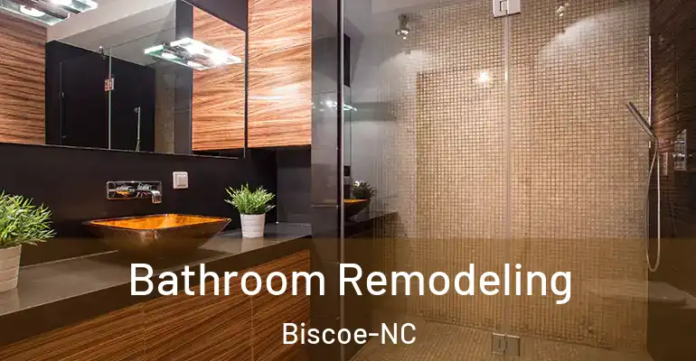 inner Bathroom imggen Bathroom Remodeling Biscoe-NC