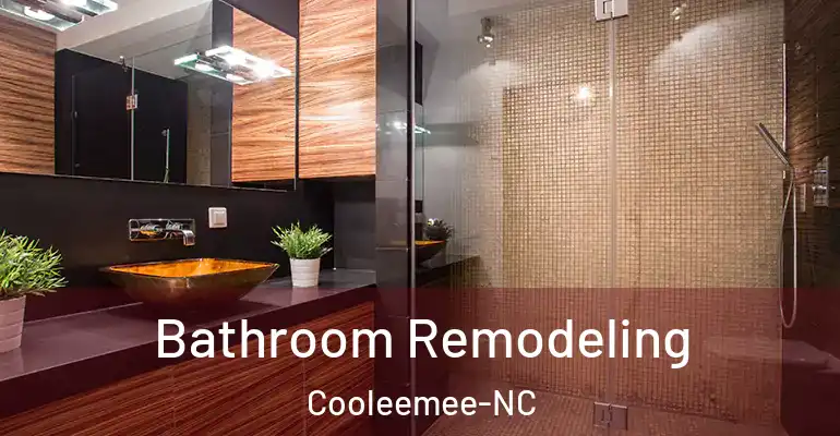 inner Bathroom imggen Bathroom Remodeling Cooleemee-NC