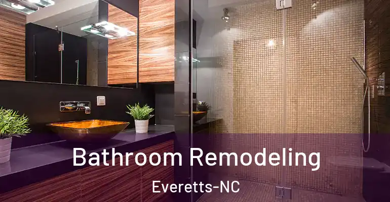 inner Bathroom imggen Bathroom Remodeling Everetts-NC