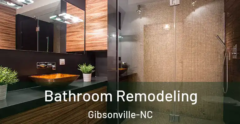 inner Bathroom imggen Bathroom Remodeling Gibsonville-NC