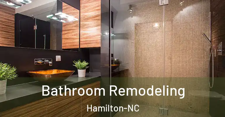 inner Bathroom imggen Bathroom Remodeling Hamilton-NC