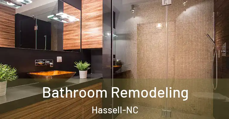 inner Bathroom imggen Bathroom Remodeling Hassell-NC