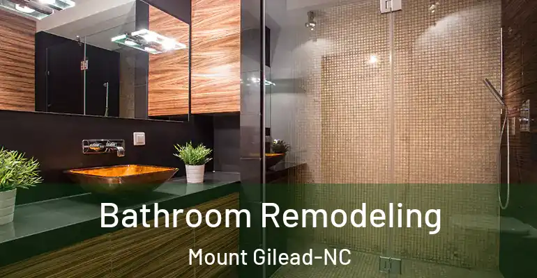 inner Bathroom imggen Bathroom Remodeling Mount Gilead-NC