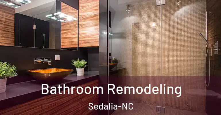inner Bathroom imggen Bathroom Remodeling Sedalia-NC