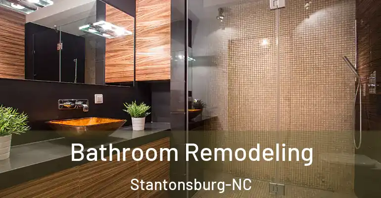 inner Bathroom imggen Bathroom Remodeling Stantonsburg-NC