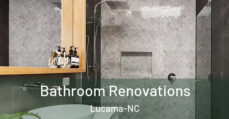 inner Bathroom imggen Bathroom Renovations Lucama-NC