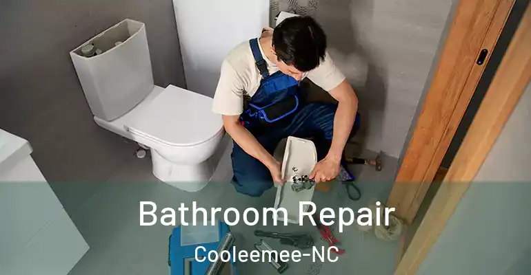 inner Bathroom imggen Bathroom Repair Cooleemee-NC