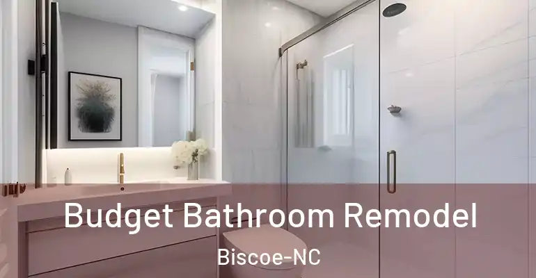 inner Bathroom imggen Budget Bathroom Remodel Biscoe-NC