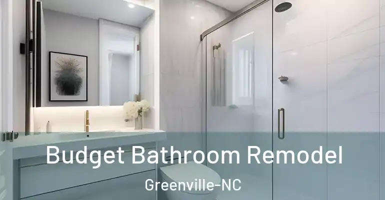 inner Bathroom imggen Budget Bathroom Remodel Greenville-NC