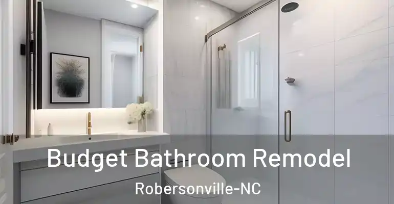 inner Bathroom imggen Budget Bathroom Remodel Robersonville-NC