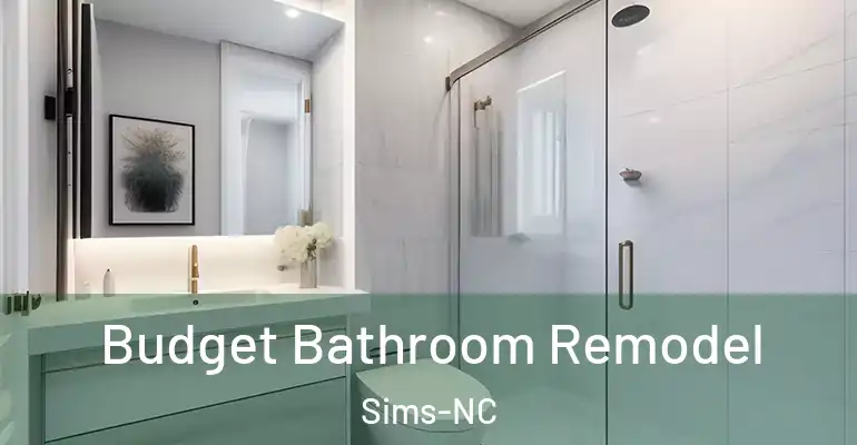 inner Bathroom imggen Budget Bathroom Remodel Sims-NC