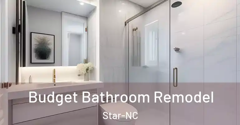 inner Bathroom imggen Budget Bathroom Remodel Star-NC
