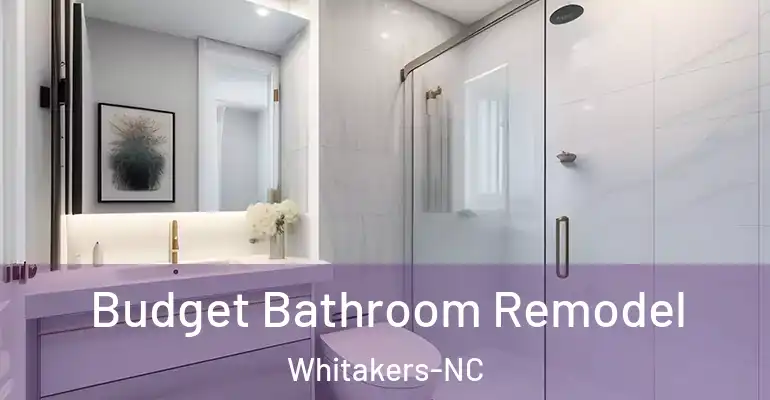 inner Bathroom imggen Budget Bathroom Remodel Whitakers-NC