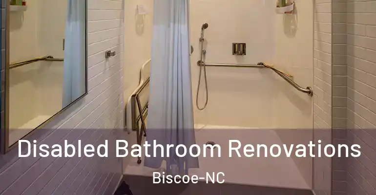 inner Bathroom imggen Disabled Bathroom Renovations Biscoe-NC