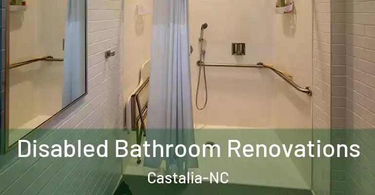 inner Bathroom imggen Disabled Bathroom Renovations Castalia-NC