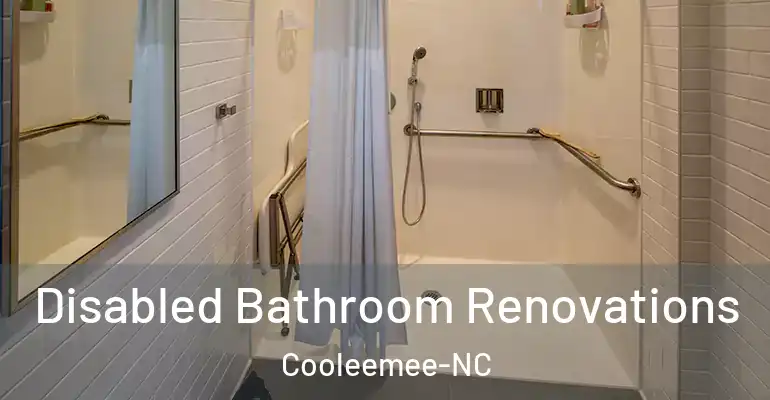 inner Bathroom imggen Disabled Bathroom Renovations Cooleemee-NC