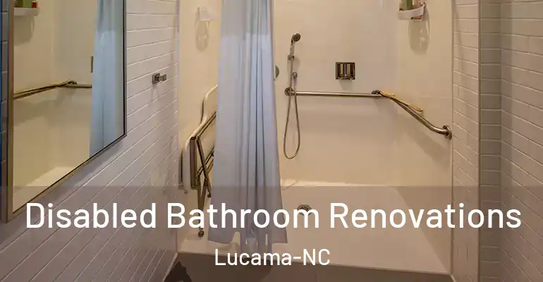inner Bathroom imggen Disabled Bathroom Renovations Lucama-NC