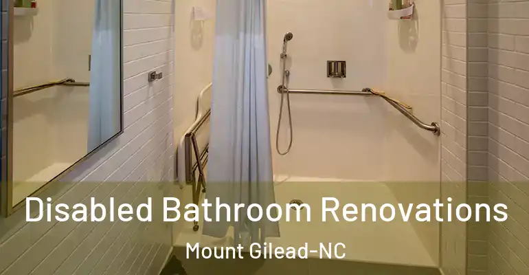 inner Bathroom imggen Disabled Bathroom Renovations Mount Gilead-NC