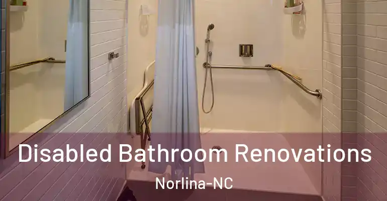 inner Bathroom imggen Disabled Bathroom Renovations Norlina-NC