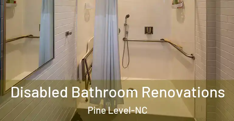 inner Bathroom imggen Disabled Bathroom Renovations Pine Level-NC