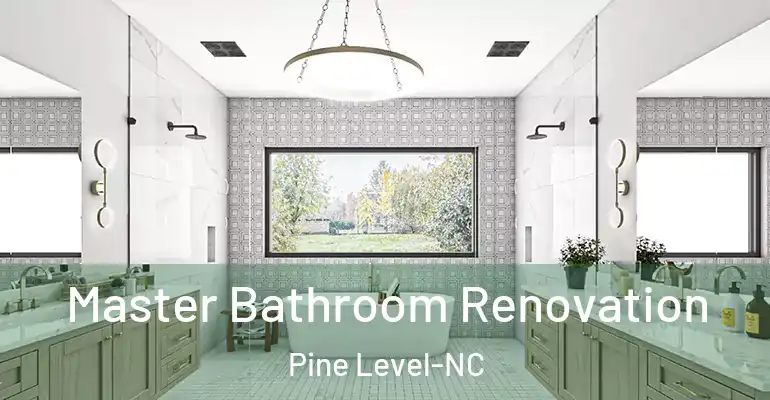 inner Bathroom imggen Master Bathroom Renovation Pine Level-NC