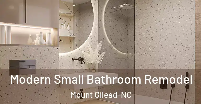 inner Bathroom imggen Modern Small Bathroom Remodel Mount Gilead-NC