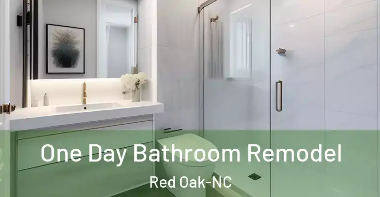 inner Bathroom imggen One Day Bathroom Remodel Red Oak-NC