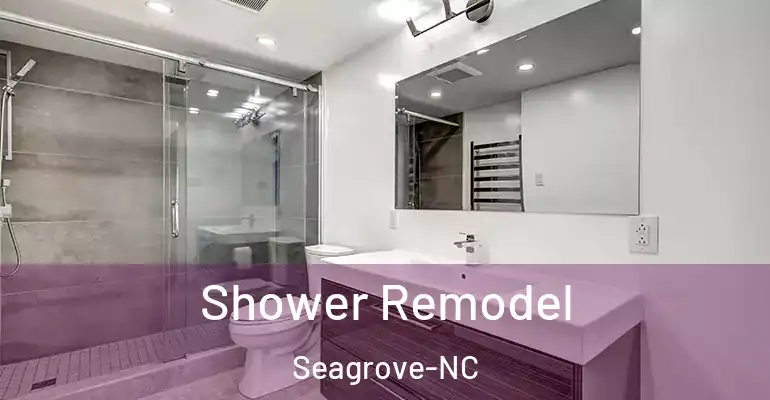 inner Bathroom imggen Shower Remodel Seagrove-NC