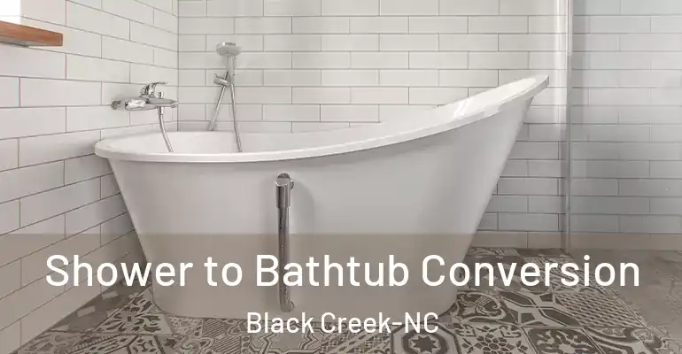 inner Bathroom imggen Shower to Bathtub Conversion Black Creek-NC