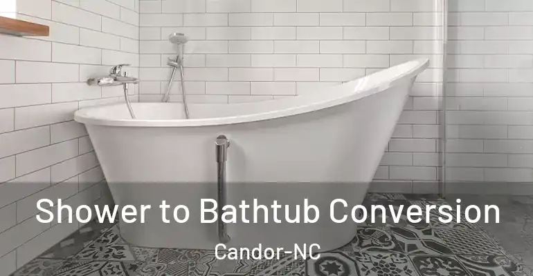 inner Bathroom imggen Shower to Bathtub Conversion Candor-NC