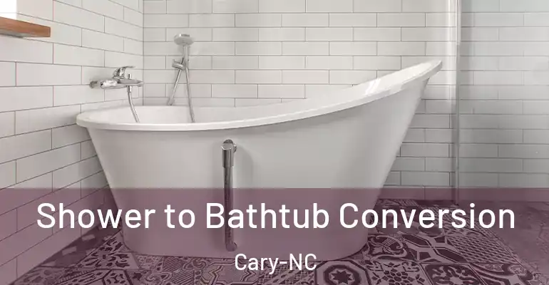 inner Bathroom imggen Shower to Bathtub Conversion Cary-NC
