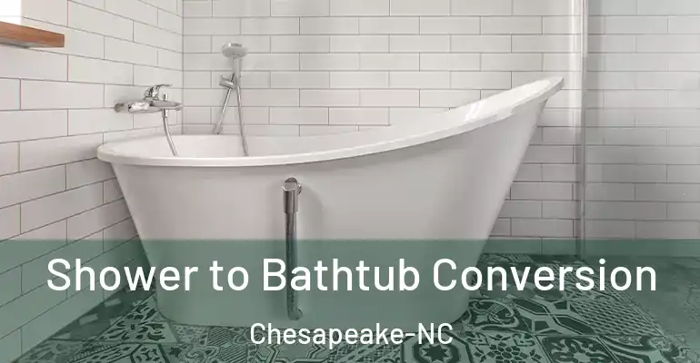 inner Bathroom imggen Shower to Bathtub Conversion Chesapeake-NC