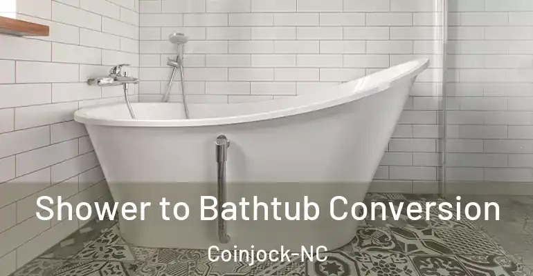 inner Bathroom imggen Shower to Bathtub Conversion Coinjock-NC