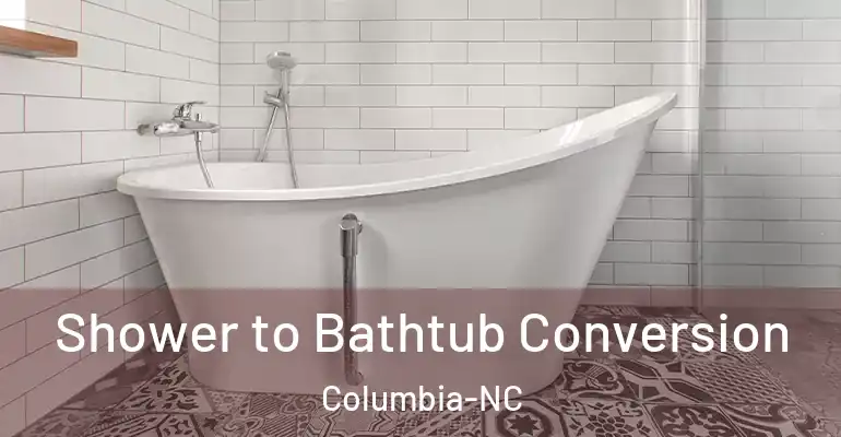 inner Bathroom imggen Shower to Bathtub Conversion Columbia-NC