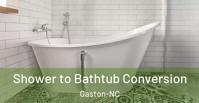 inner Bathroom imggen Shower to Bathtub Conversion Gaston-NC