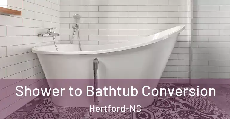 inner Bathroom imggen Shower to Bathtub Conversion Hertford-NC