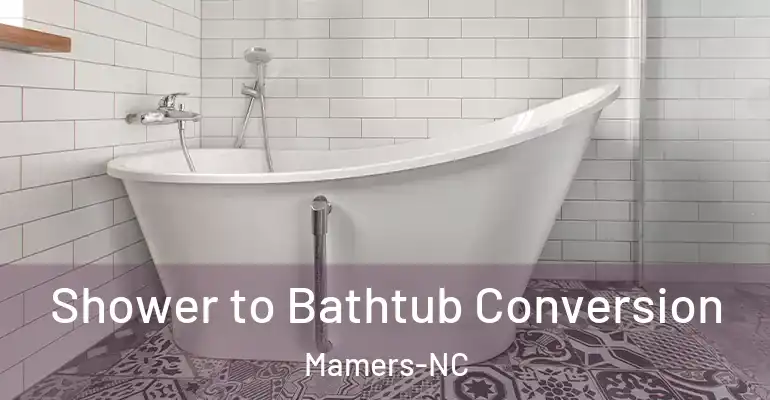inner Bathroom imggen Shower to Bathtub Conversion Mamers-NC