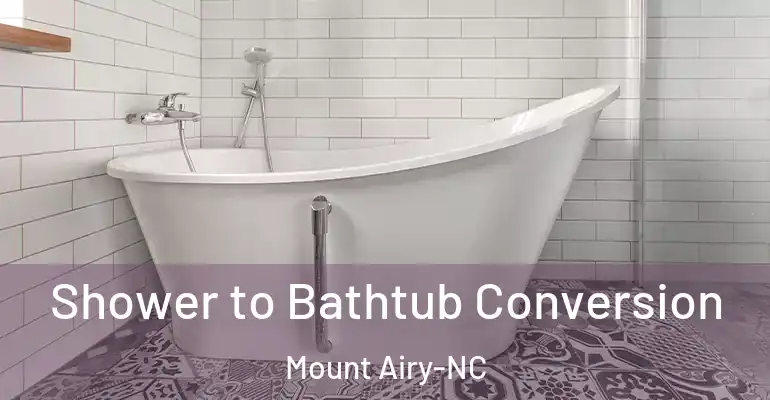 inner Bathroom imggen Shower to Bathtub Conversion Mount Airy-NC