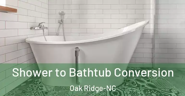 inner Bathroom imggen Shower to Bathtub Conversion Oak Ridge-NC