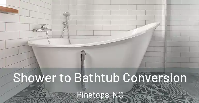 inner Bathroom imggen Shower to Bathtub Conversion Pinetops-NC