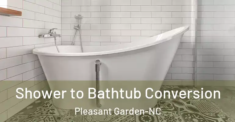inner Bathroom imggen Shower to Bathtub Conversion Pleasant Garden-NC