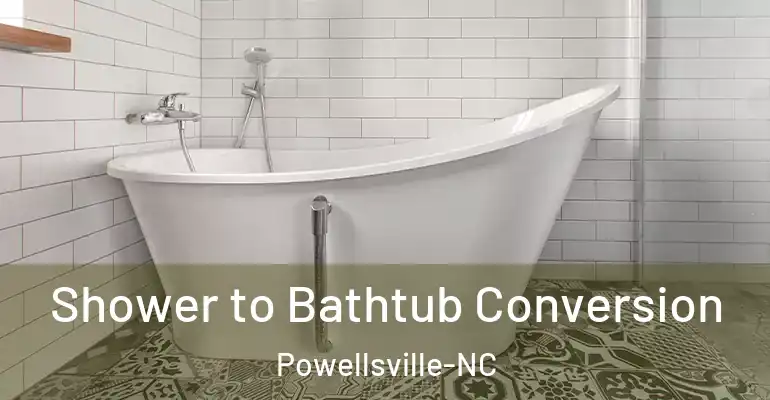 inner Bathroom imggen Shower to Bathtub Conversion Powellsville-NC