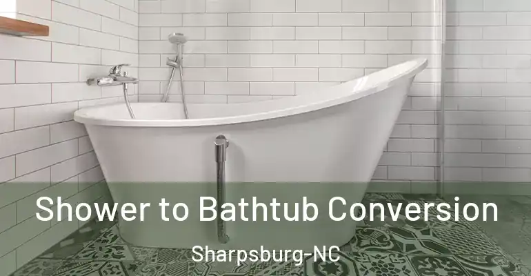 inner Bathroom imggen Shower to Bathtub Conversion Sharpsburg-NC