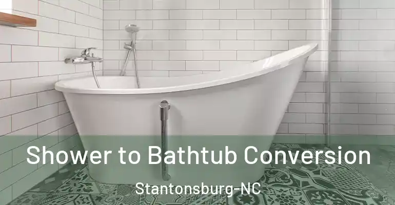 inner Bathroom imggen Shower to Bathtub Conversion Stantonsburg-NC