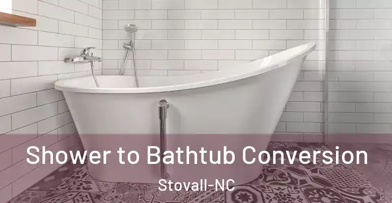 inner Bathroom imggen Shower to Bathtub Conversion Stovall-NC