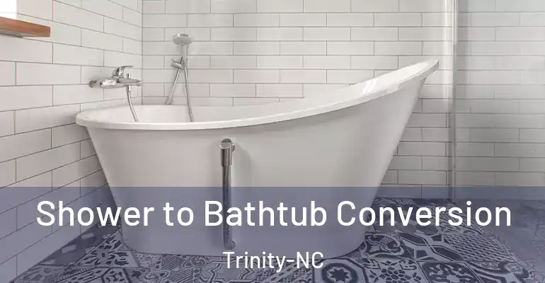 inner Bathroom imggen Shower to Bathtub Conversion Trinity-NC