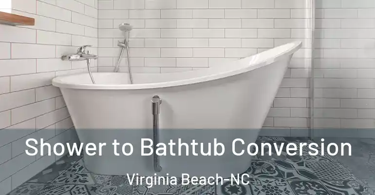 inner Bathroom imggen Shower to Bathtub Conversion Virginia Beach-NC