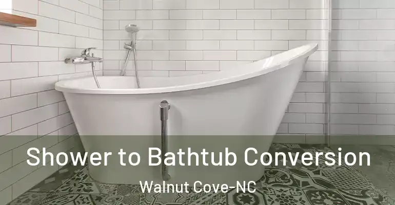inner Bathroom imggen Shower to Bathtub Conversion Walnut Cove-NC