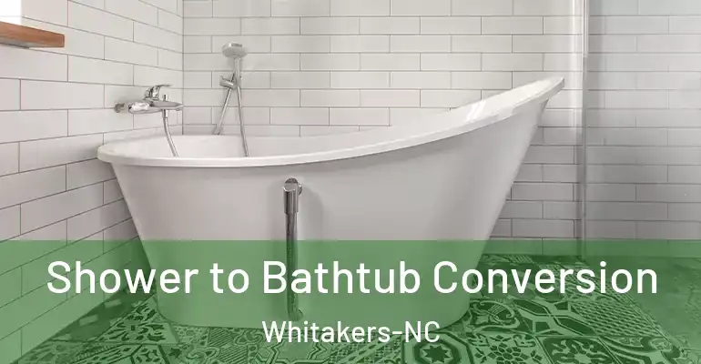 inner Bathroom imggen Shower to Bathtub Conversion Whitakers-NC