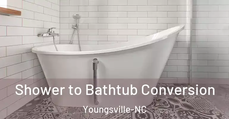 inner Bathroom imggen Shower to Bathtub Conversion Youngsville-NC